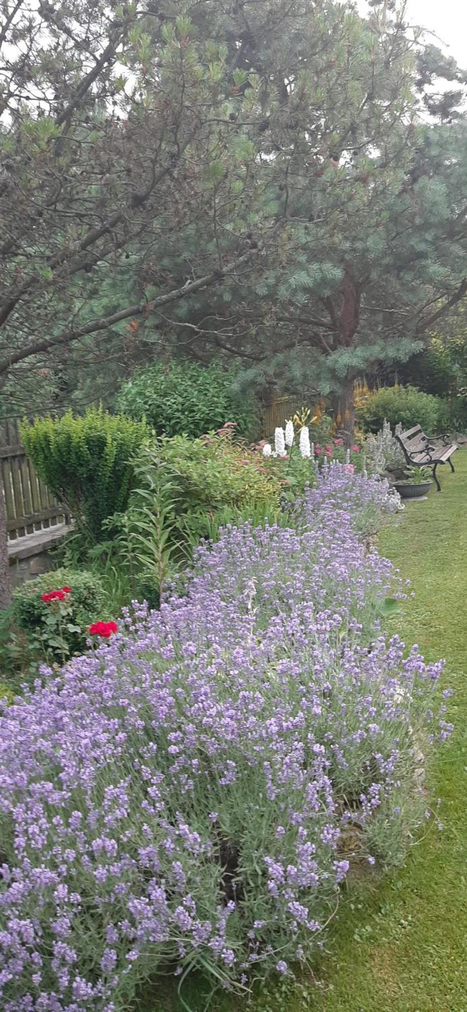 Lily Garden Bed & Breakfast Mizerna Exterior photo