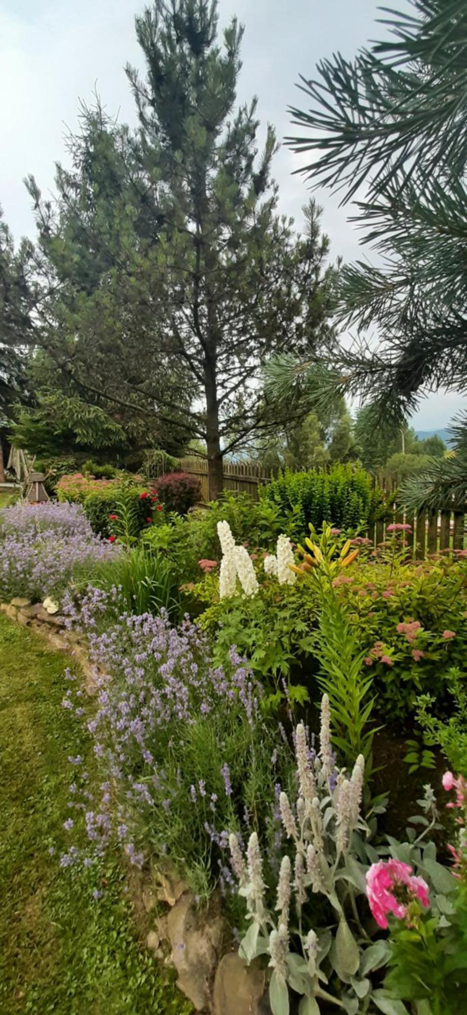 Lily Garden Bed & Breakfast Mizerna Exterior photo